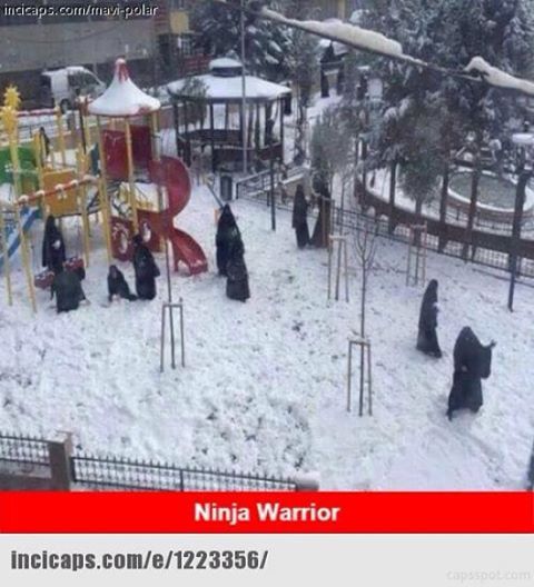 Ninja Warrior