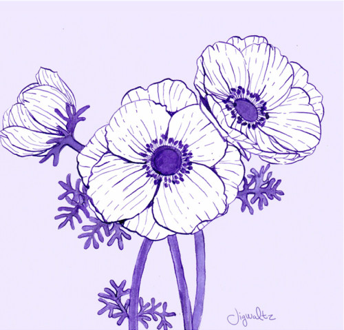 jigwaltz: A few anemones