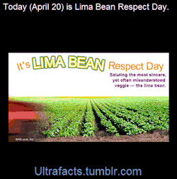 ultrafacts:  Today is Lima Bean Respect Day.