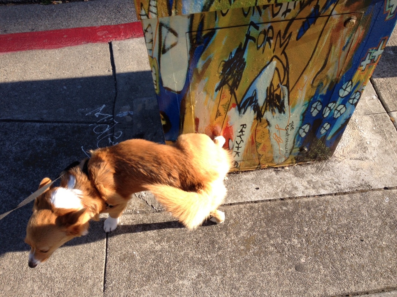 chubbythecorgi:  I know I know, where would community art BE without my contributions?