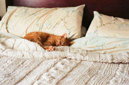 sweatersscarvesandsweets:  want more fall/autumn/halloween on your dash?follow sweatersscarvesandsweets`