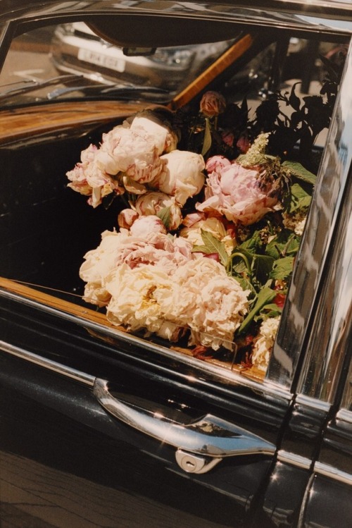 nicolebritney: Simone Rocha ‘Flowers and Cars’ Photography Jacob Lillis