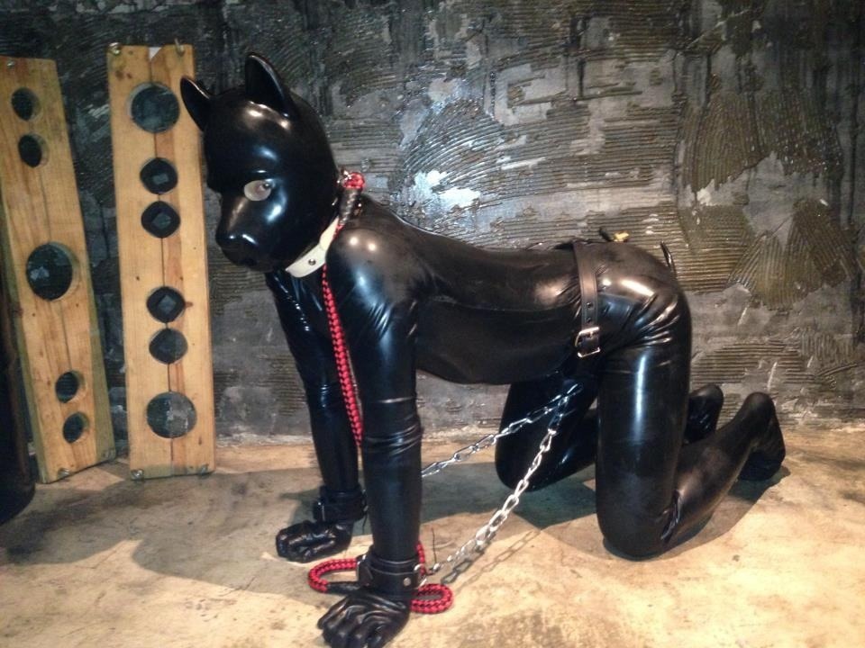 rubber dog slave caged  littleghostpup:  the-alley:  The Rubber Dog  :3 