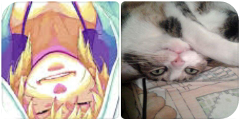 Anime vs my kitty :D