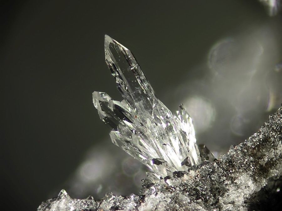 ifuckingloveminerals:  TopazEmmelberg, Üdersdorf, Daun, Eifel, Rhineland-Palatinate,