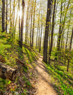 Upimages:along The Path To Sturgeon Falls In The Sturgeon River Gorge Wilderness,