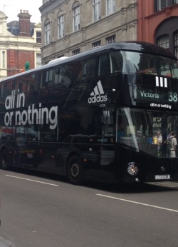 Yngtraplord:  Black Adidas Bus 