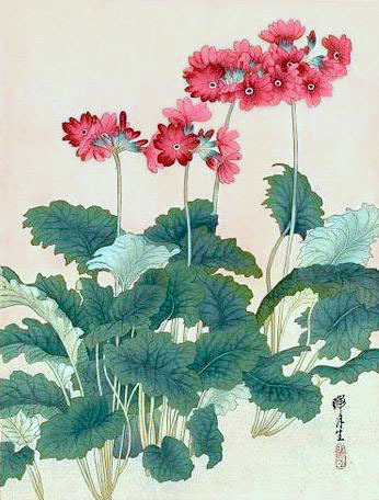 japanese-plants:Japanese Primrose by Zuigetsu Ikeda (1877-1944)
