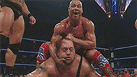 hiitsmekevin:  Smackdown to me has always been the better brand, it was funner,better