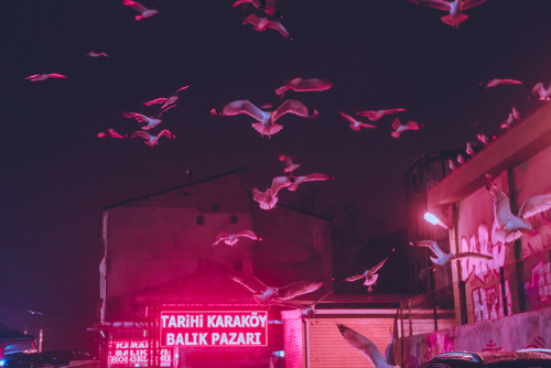 redlipstickresurrected:Elsa Bleda (French-Turkish, b. 1988, Aix-les Bains, France, based Johannesburg, South Africa) - Istanbul At Night from the Nightscapes series, 2016  Photography