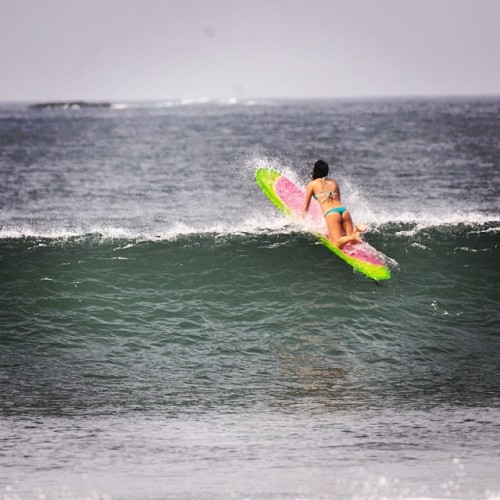 surfandbefree.tumblr.com Stephanie Schecter