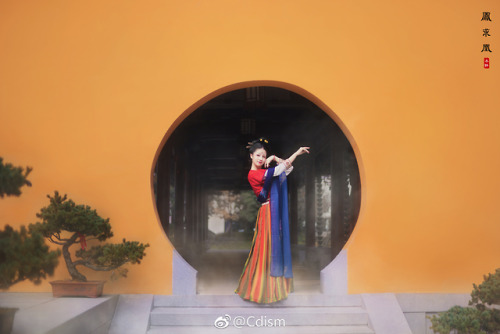 dressesofchina: Photoshoot with Tang dynasty round color ruqun  hanfu from @幽窗小记- mod