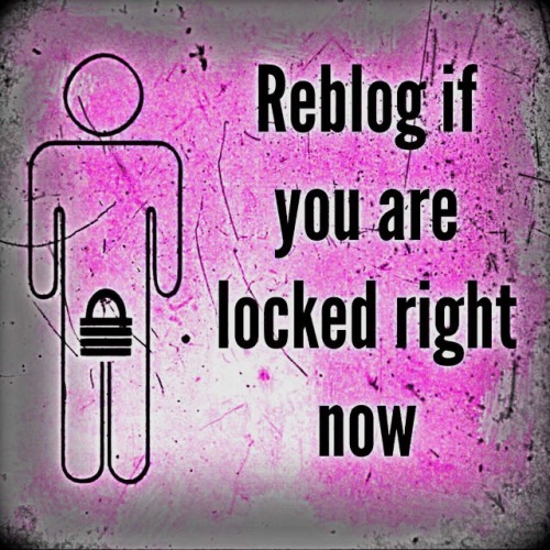 imcagedbywife:  wtenncuck:  6 days straight now. No getting out anytime soon either.  I’m always locked, thank You Mistress!  👍👍🔐