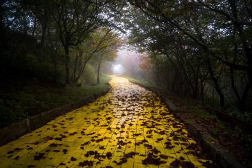 ruinationstation: Abandoned Land of Oz theme park in North Carolina