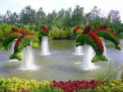 All Together Now (Topiary Fountain, China)