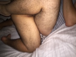 bearlywill.tumblr.com post 158879984126