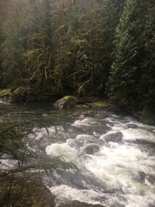 burningmine:Twin Falls State Park, April 2018It was so rainy that I couldn’t take my camera out all 