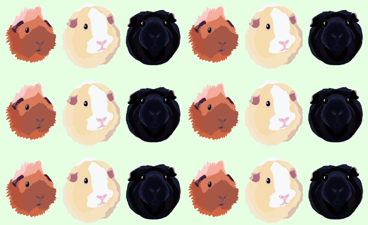 glitterpiggies:  I was bored and made a Millie - Molly - Billy pattern!You can