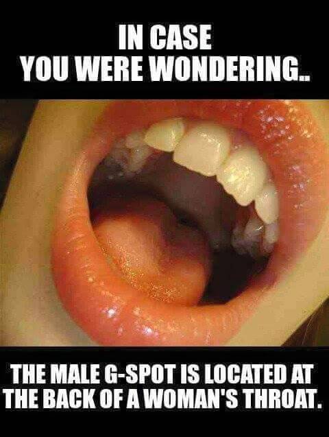 # ACSHADYLADY