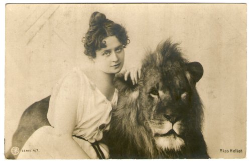 michaelmoonsbookshop:Miss Heliot - female lion tamer - original photo postcard c1905
