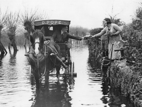 yesterdaysprint:A baker delivers bread in two feet of floodwater, Langport, Somerset, December 4, 19