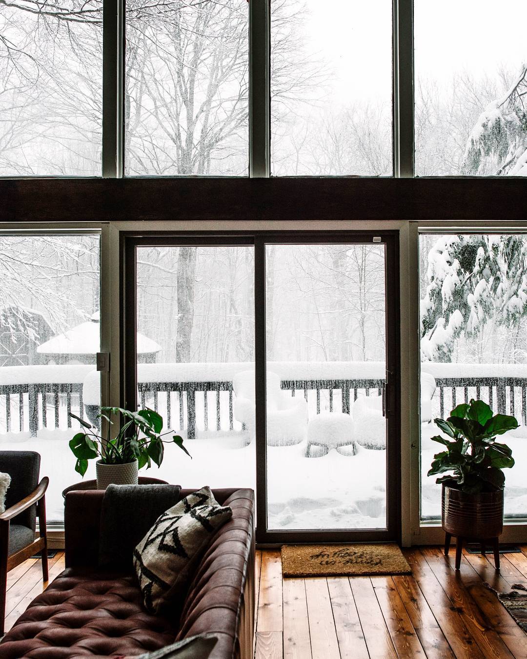 wild-cabins: Danielle &amp; Ely Franko