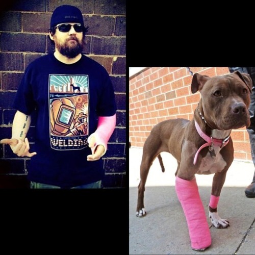 watchtheprettylight: Obviously this was meant to be… #prettyinpink #pitbullisnotacrime #rescuedog #