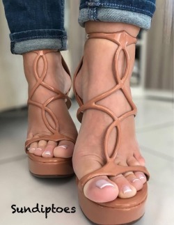 sundiptoes:  What do you think keep them