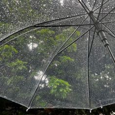 RAIN CURTAINS , LEE HEESEUNG