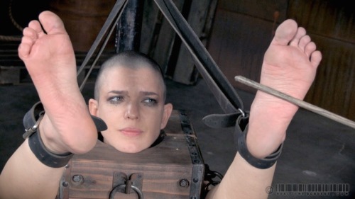 https://seren-42.tumblr.com/post/117365547800