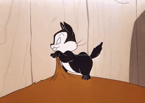 eli-campbelle:  Funny Cats 