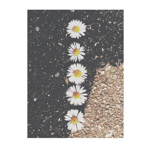 Your life is a lie☨