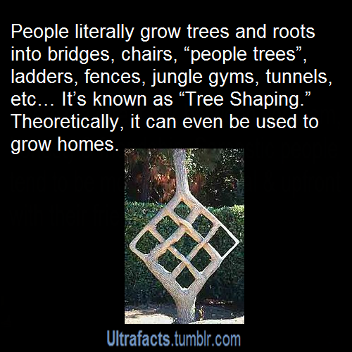 ultrafacts:  For more posts like this, follow Ultrafacts (Source)