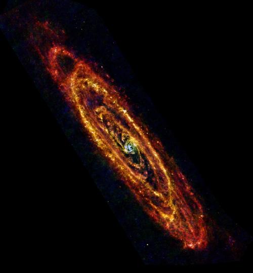 Andromeda Galaxy Various Views