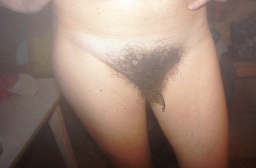 hairymission: great bush
