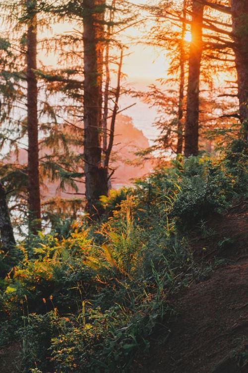 expressions-of-nature:by Cristofer Jeschke