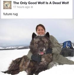 dumb-asses:  katara:  ghoulbuddy:  bubblebaffs:  PLEASE SIGNAL BOOST: THIS PAGE IS POSTING PICTURES OF DEAD WOLVES THAT THEY ARE KILLING AND TORTURING FOR NO OTHER REASON THAN TO SEE THEM DEAD. NOT ONLY WOLVES BUT ROWS OF FOX AND COYOTES AND RACCOONS.