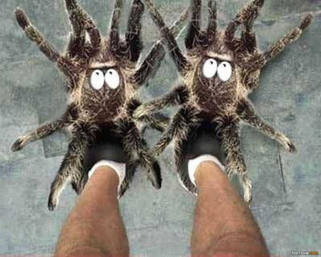 Item Drop — Slippers of Spider Climbing: you wear...