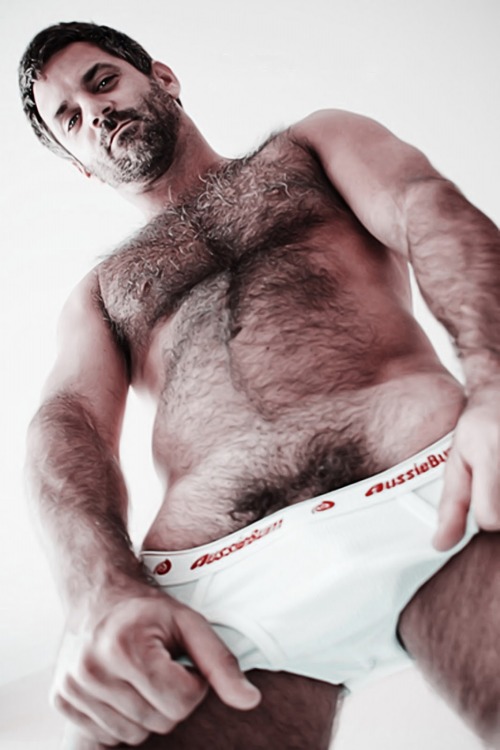 maturegayhomoerotica:  AussieBum