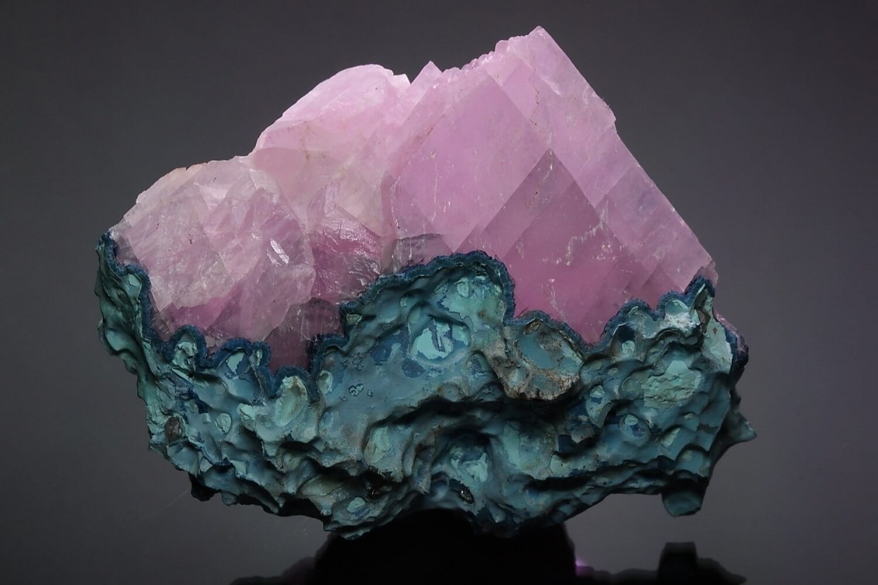 hematitehearts:  Cobaltoan Calcite on Shattuckite Locality: Tantara Mine, Katanga,