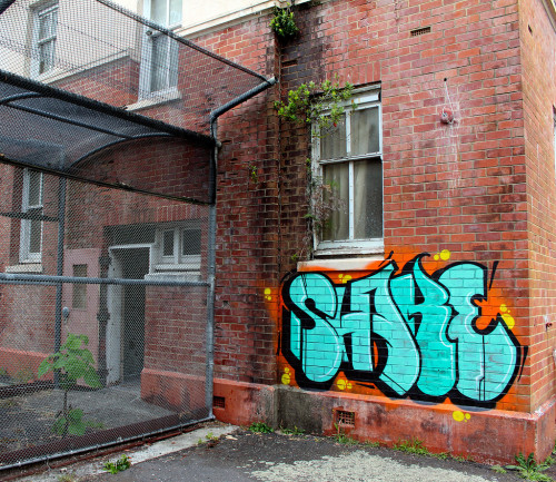 spraydaily:  SHAKE (by Fresh Green)