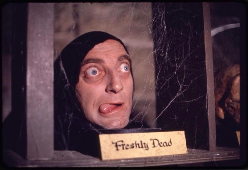 j-dueso:bare-behind-bars:Marty Feldman. Young Frankenstein (1974, Mel Brooks).