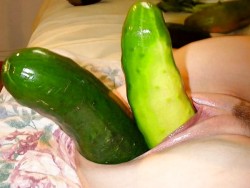 cafenastycore:  fruit-and-vegetable:double - cucumber-fun…menu: how great its going to be to sodomize you with your cunt stuffed