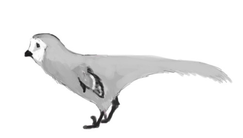 troodon