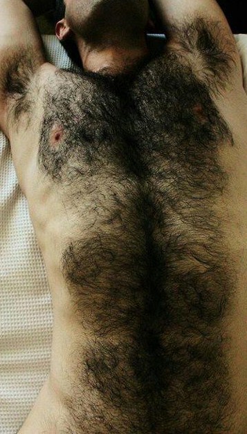 Porn photo I’m hairy….but not this hairy!!