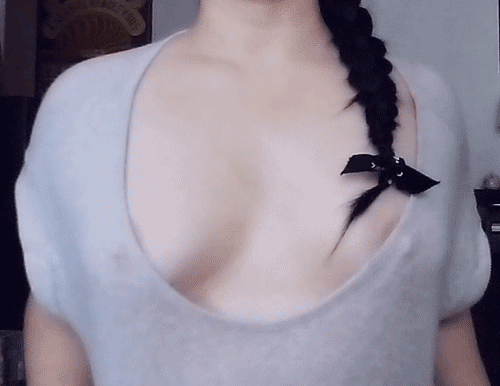 Maître Coquin