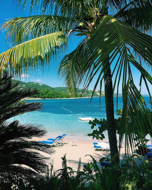 hottygram:  Jamaica is looking like paradise this morning #abikiniadaydestinations by abikiniaday