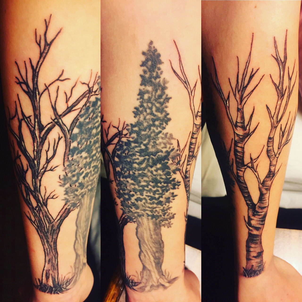 Birch Tree Tattoo Russian Design  LuckyFish Art