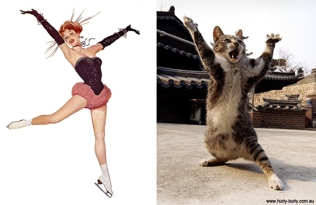 Cats That Look Like Pin Up Girls