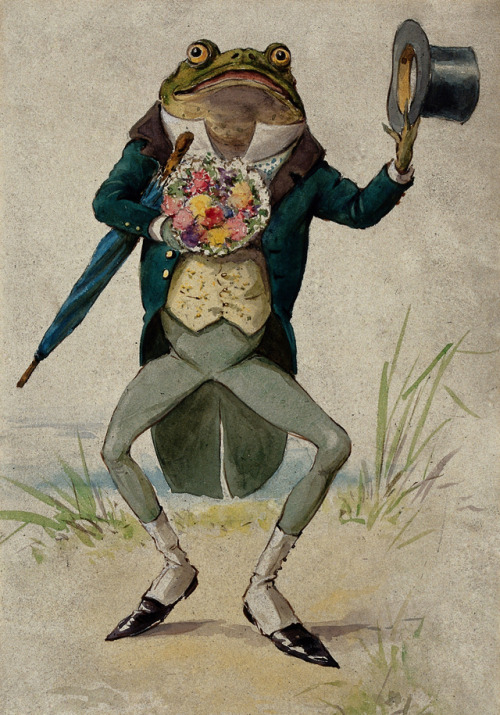 George Hope Tait - Frog dressed as a gentleman with flowers, top hat and - 1900 - via Wellcome Libra